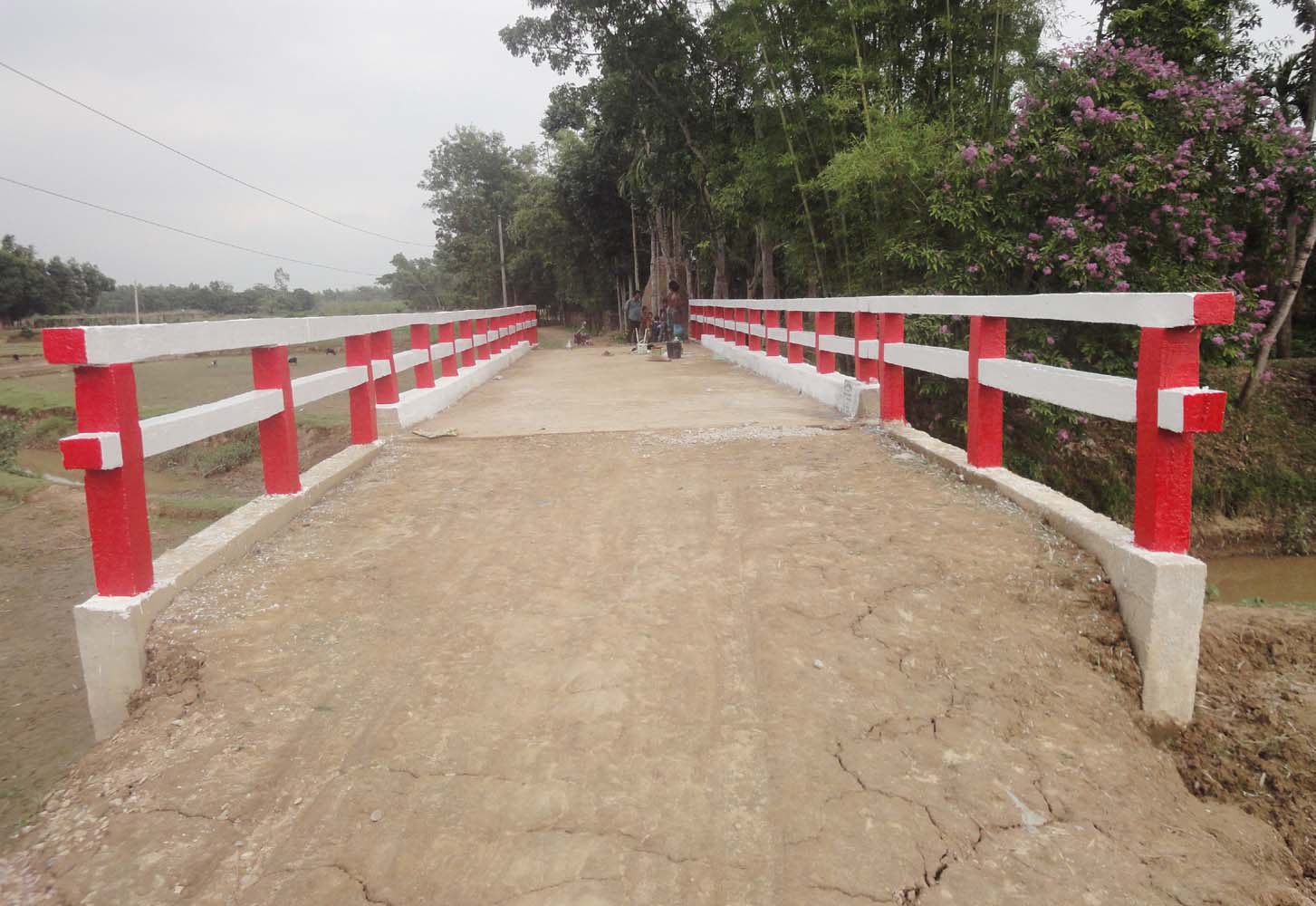 পল্লী সড়কে সেতু নির্মাণে ব্যয় বাড়ছে ২৫৩০ কোটি টাকা